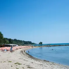 Słoneczny dzień na plaży w Złote Piaski, Bułgaria. Piasek, morze i mnóstwo pomarańczowych parasoli.