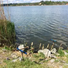 Gdzie na ryby w Świętokrzyskiem? Odkryj najlepsze lokalizacje