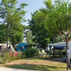  Park Albatros | Camping Toskania | Polecamy kamping w Włochach