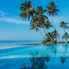 Diani Sea Resort Kenia opinie gości: Rzetelna ocena wypoczynku w Kenii