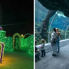 Ile kosztuje bilet do łódzkiego zoo? Ceny, zniżki i porady
