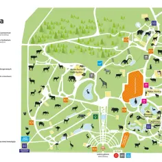 Mapa ZOO w Chorzowie z zaznaczonymi atrakcjami dla dzieci: plac zabaw, mini zoo, akwarium, wybiegi zwierząt.