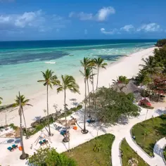 Rajska plaża z palmami i turkusową wodą. Idealne miejsce na wakacje, kiedy najlepiej jechać na Zanzibar? W porze suchej, od czerwca do października.