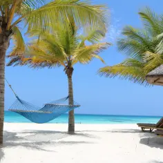 Błękitna plaża z palmami i hamakiem, idealne miejsce by odpocząć i zastanowić się, gdzie leży Zanzibar.