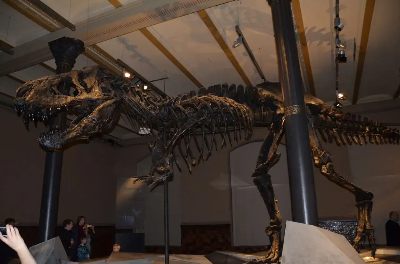 Szkielet tyranozaura w Muzeum Dinozaurów w Berlinie. Zwiedzający podziwiają potężne kości prehistorycznego drapieżnika.