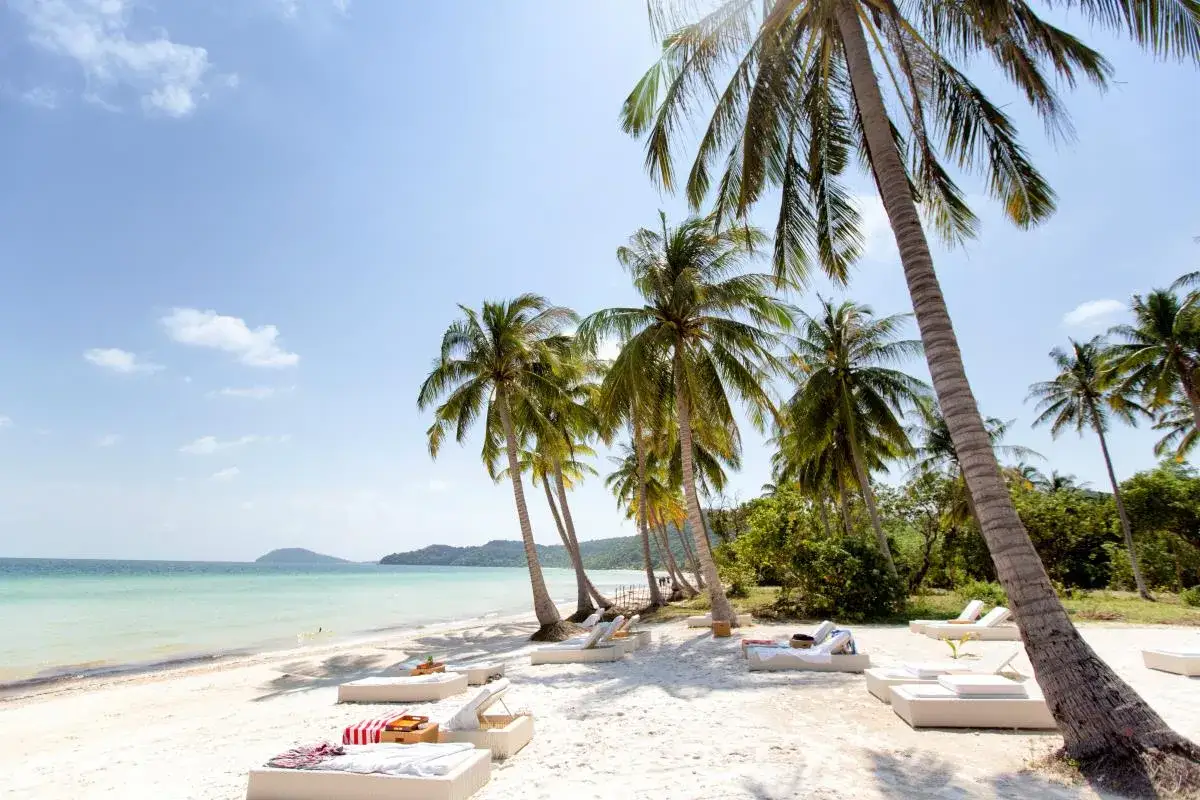 Rajska plaża na wyspie Phu Quoc z palmami i leżakami.