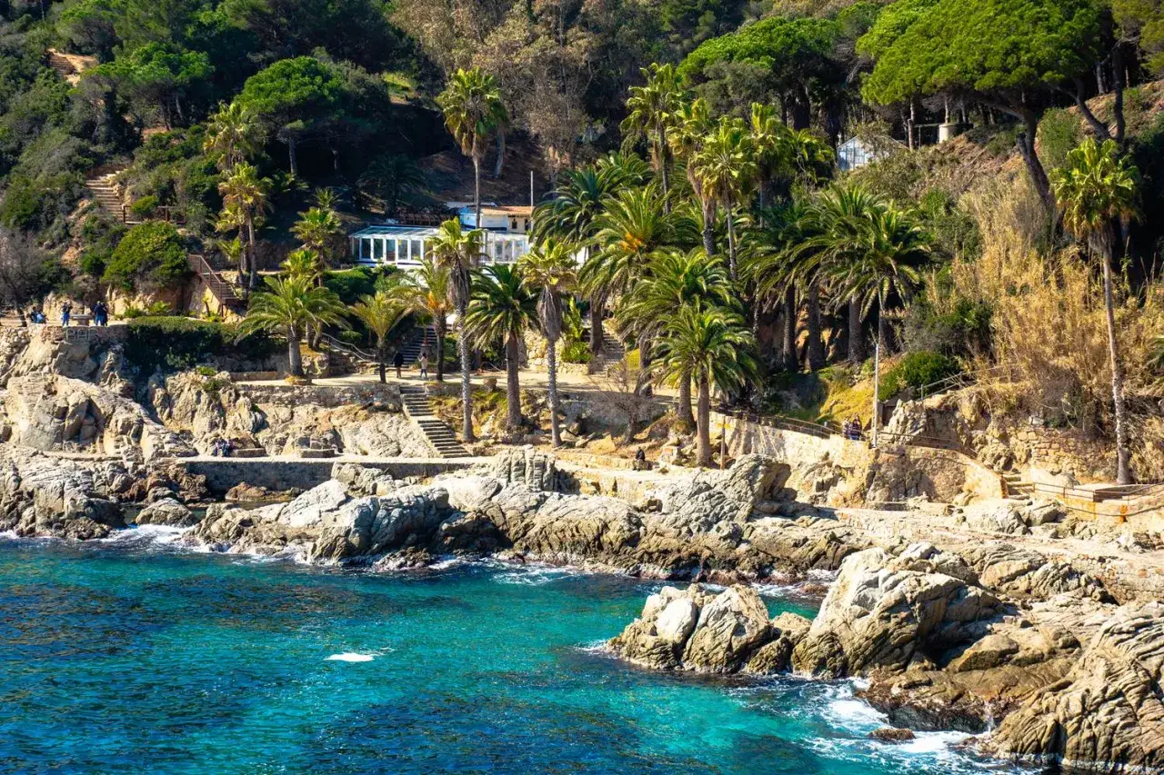 Skaliste wybrzeże z palmami i turkusową wodą, idealne miejsce na odkrywanie lloret de mar atrakcje.