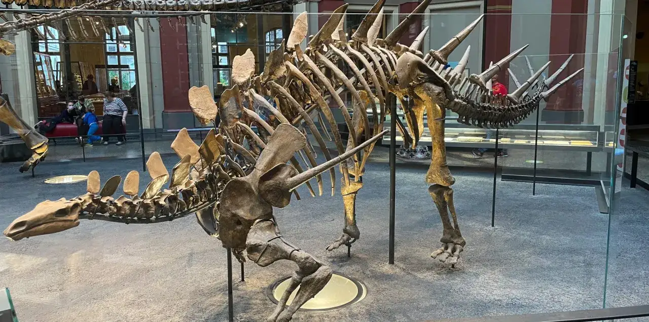 Szkielet dinozaura w berlińskim muzeum dinozaurów. W tle widać zwiedzających.