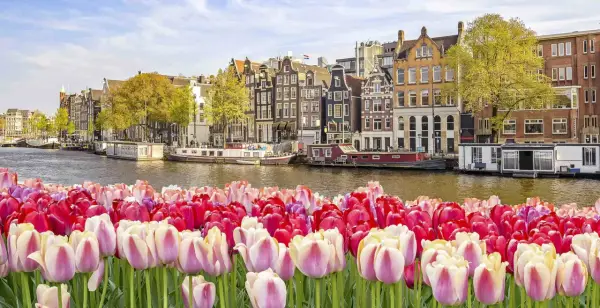 Pociągiem do Amsterdamu z Polski - Bezpośrednio? Trasy, bilety